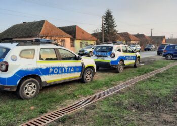 Ancheta se extinde în dosarul „azilelor groazei” din Timiș: percheziții în forță și acuzații grave, inclusiv ucidere din culpă