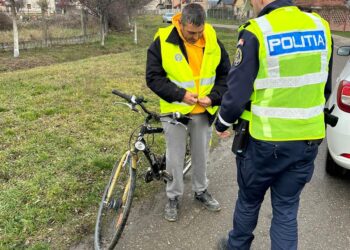 Acțiune în sistem „Releu” pe DN 6, în județul Timiș