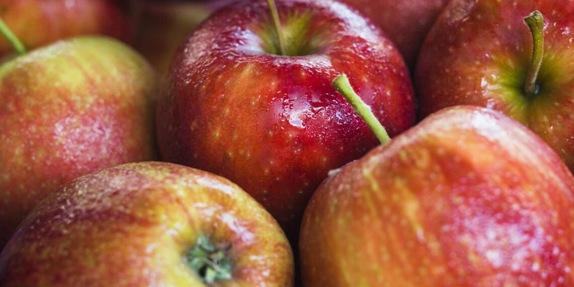 Consiliul Județean Timiș a achitat peste 2,8 milioane de lei pentru programul „lapte, fructe și corn” în noiembrie și decembrie  