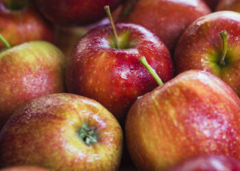 Consiliul Județean Timiș a achitat peste 2,8 milioane de lei pentru programul „lapte, fructe și corn” în noiembrie și decembrie  