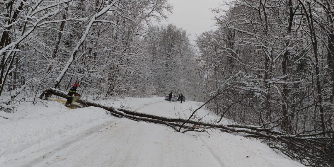Misiunile pompierilor timișeni din perioada 06-07 ianuarie 2026