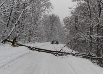 Misiunile pompierilor timișeni din perioada 06-07 ianuarie 2026