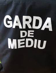 Sute de inspecții derulate de Garda de Mediu Timiș. Ce nereguli s-au găsit