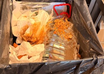 Amenzi de peste 150.000 de lei la restaurantele din mall-urile din Timișoara: produse expirate, mizerie și muște/Foto