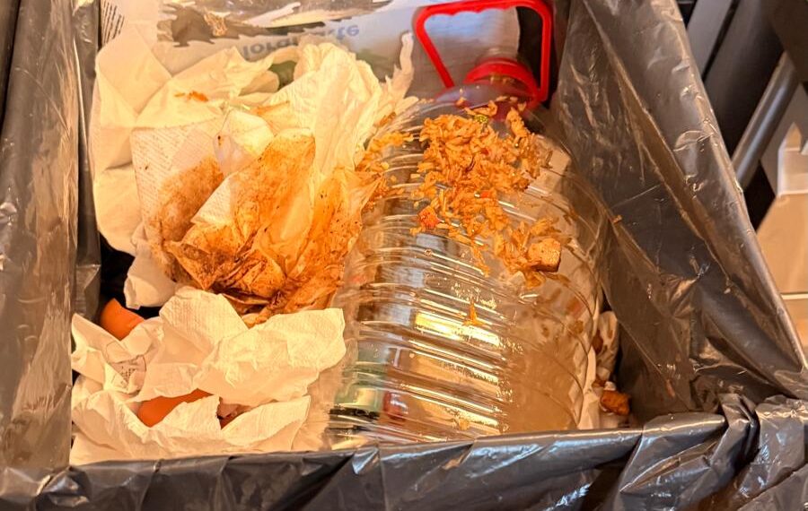 Amenzi de peste 150.000 de lei la restaurantele din mall-urile din Timișoara: produse expirate, mizerie și muște/Foto