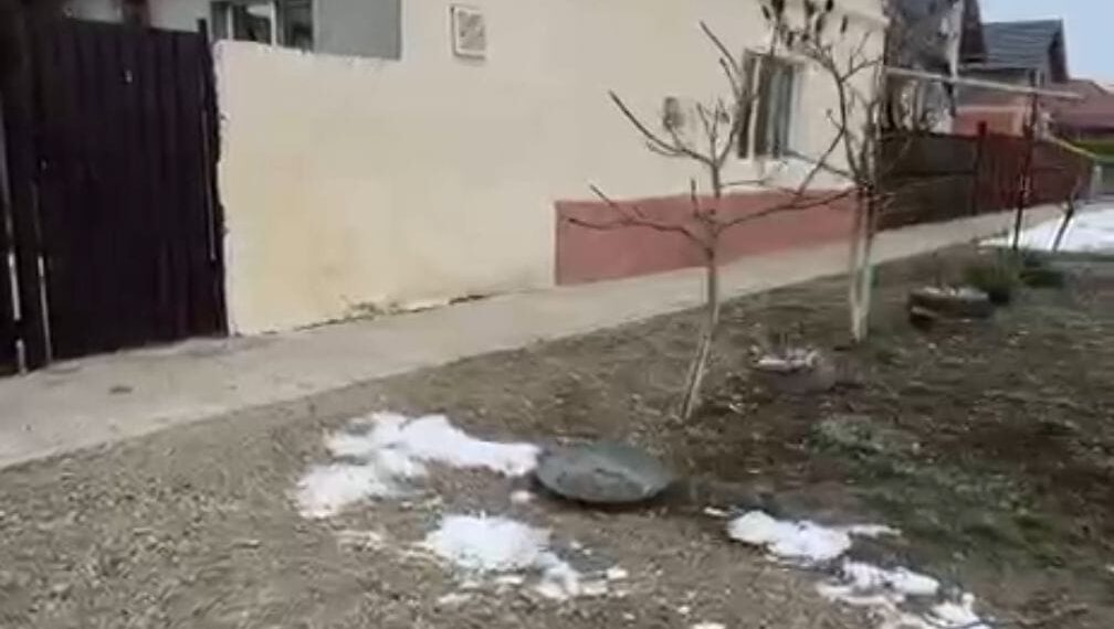 Tragedia care zguduie comuna Cenei: comunitatea în doliu după un eveniment cutremurător/Video