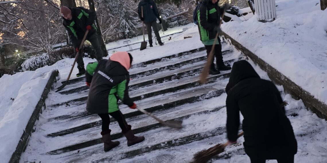 Primăria Timișoara continuă intervențiile pentru menținerea circulației în condiții de siguranță