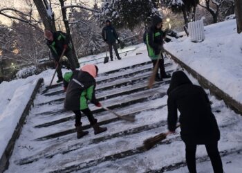 Primăria Timișoara continuă intervențiile pentru menținerea circulației în condiții de siguranță