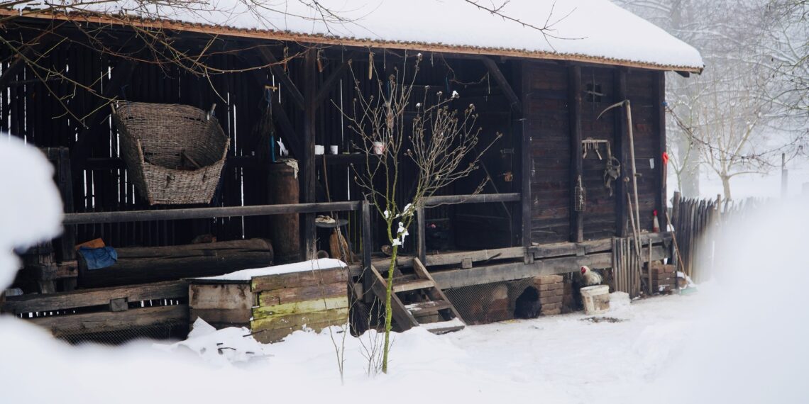 Muzeul Satului Bănățean lansează chestionarul privind îmbunătățirea experienței vizitatorilor