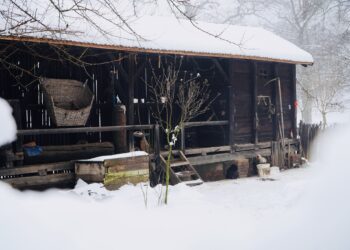 Muzeul Satului Bănățean lansează chestionarul privind îmbunătățirea experienței vizitatorilor