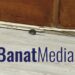 Vizitator-surpriză la ore: un șoarece, fotografiat într-o școală din Timișoara