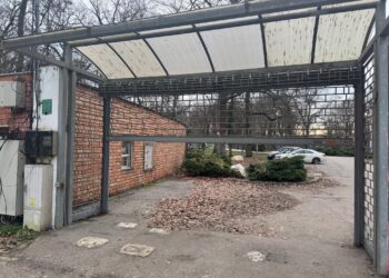 Accesul publicului în fosta Grădină Zoologică din Timișoara, contestat din motive de siguranță