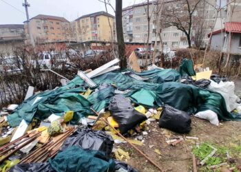 Sancțiuni de 152.000 lei aplicate de polițiștii locali la șantierele din Timișoara care nu au respectat legislația pe linie de protecția mediului și disciplina în construcții