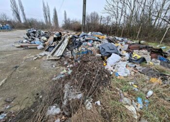 Atenție, amenzile pentru nerespectarea legislației privind abandonul și depozitarea deșeurilor sunt foarte mari! Polițiștii locali au aplicat sancțiuni în valoare de 165.750 lei