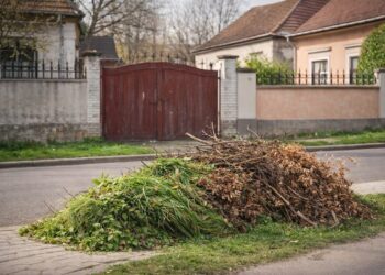 Lugojenii pot scoate deșeurile vegetale la stradă: calendarul pe zone