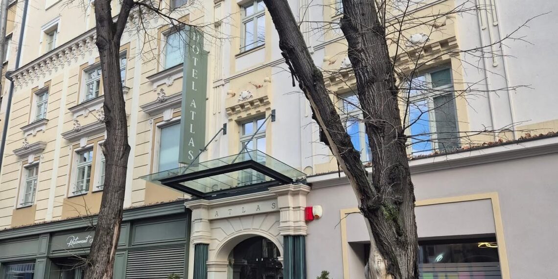 Doi tei periculoși urmează să fie defrișați în centrul Timișoarei pentru prevenirea accidentelor