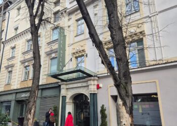 Doi tei periculoși urmează să fie defrișați în centrul Timișoarei pentru prevenirea accidentelor