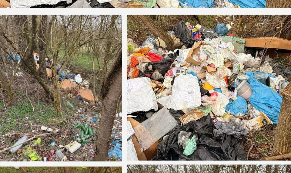 Primarul Călin Dobra: „Este o nesimțire de nedescris și o palmă dată tuturor celor care respectă acest oraș”