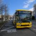 Transport public în Timișoara: Stația „Parcul Botanic/Spitalul Municipal” devine permanentă