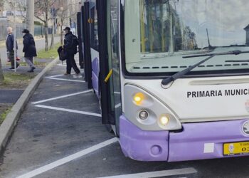 Transport public în Timișoara: Stația „Parcul Botanic/Spitalul Municipal” devine permanentă