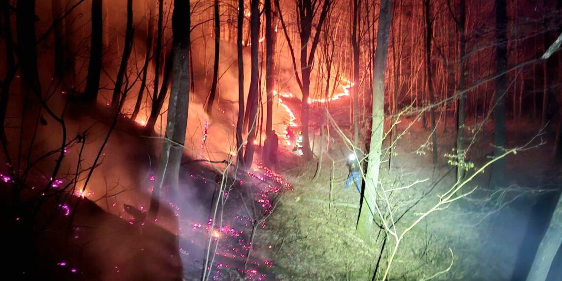 În acest weekend, salvatorii timișeni au gestionat 166 de situații de urgență înregistrate la nivelul județului Timiș