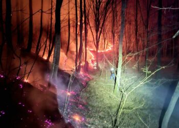 În acest weekend, salvatorii timișeni au gestionat 166 de situații de urgență înregistrate la nivelul județului Timiș