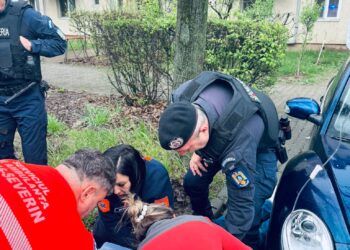 Când experiența devine forță: intervenția lui Marius, un jandarm care a refuzat să mai piardă o viață