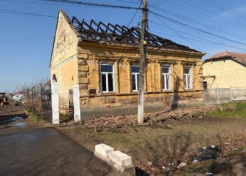 Incendiu la Tomnatic. O femeie a fost transportată la spital, iar un cățel a fost salvat de pompieri