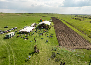 CODRU organizează o nouă acțiune de împădurire. 10.000 de copaci vor fi plantați la Ianova