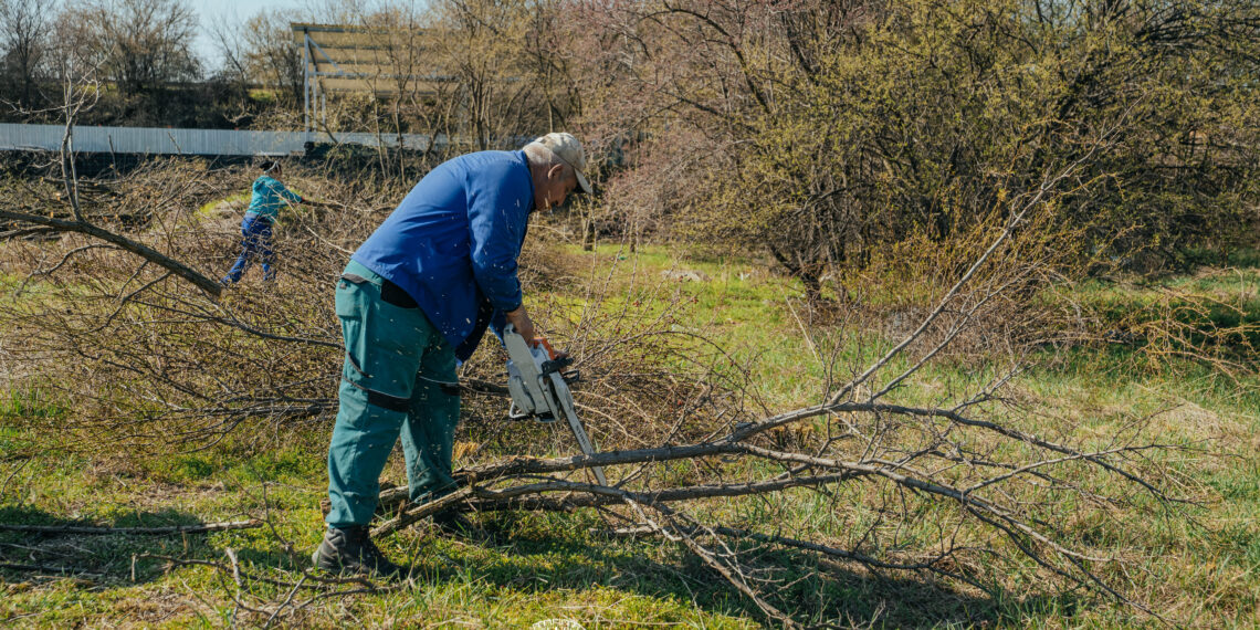 Teren din Dâmbovița de aproape 2 hectare, ecologizat de Primăria Timișoara/Foto