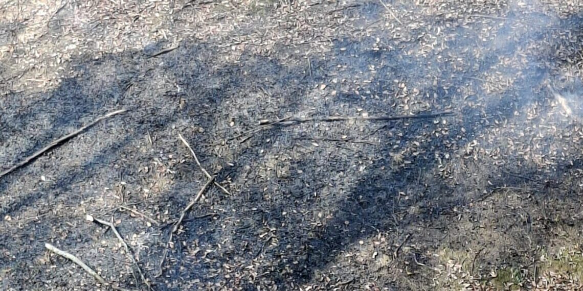 În jur de 150 de situații de urgență, gestionate de salvatorii timișeni în weekend