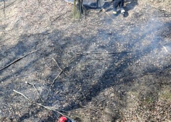 În jur de 150 de situații de urgență, gestionate de salvatorii timișeni în weekend