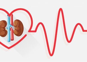 Ziua Mondială a Rinichiului. Legătura dintre inimă și rinichi