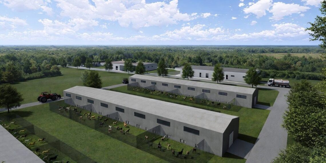 Consiliul Județean Timiș construiește primul adăpost pentru animale