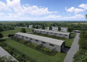 Consiliul Județean Timiș construiește primul adăpost pentru animale