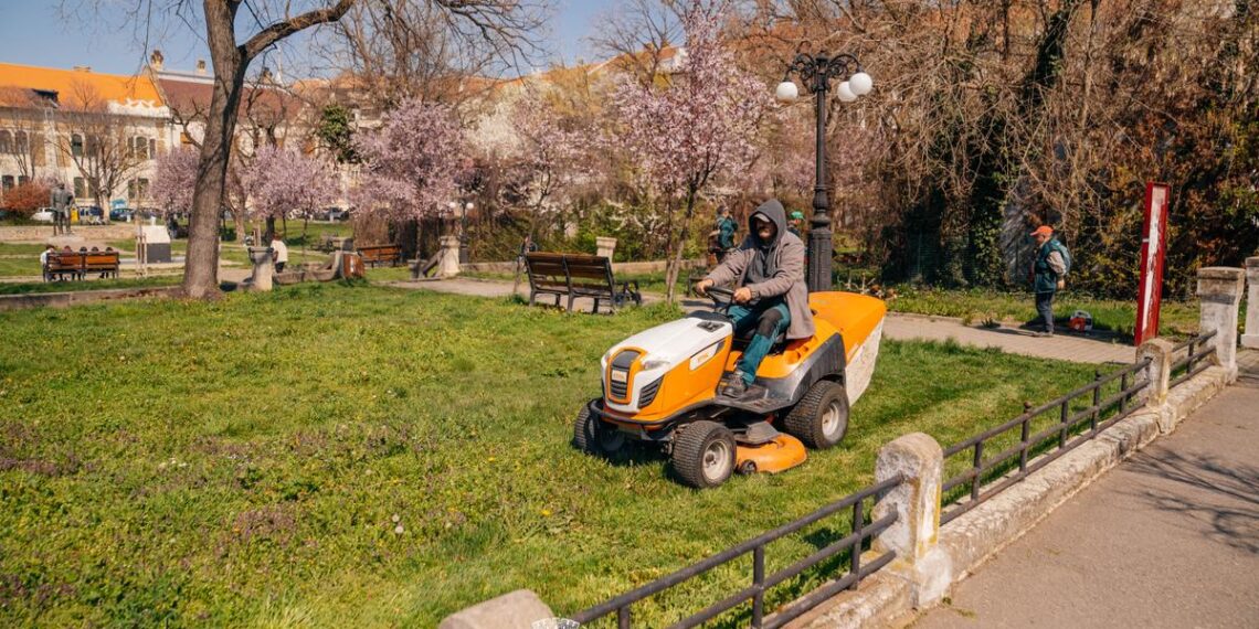 Primăria Timișoara propune atribuirea întreținerii spațiilor verzi centrale și a arborilor de pe aliniamente către Horticultura