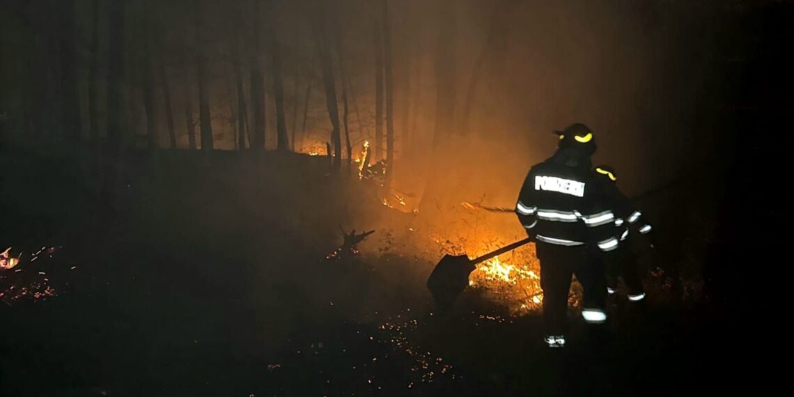 Peste 80 de situații de urgență gestionate în ultimele 24 ore în Timiș