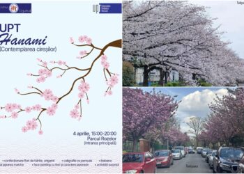 Hanami la Timișoara: Centrul Jutsu de la UPT aduce spiritul Japoniei în inima orașului florilor