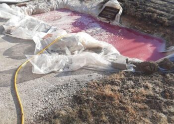 Miros puternic de clor în zona Uzinei de Apă nr. 3 din Lugoj