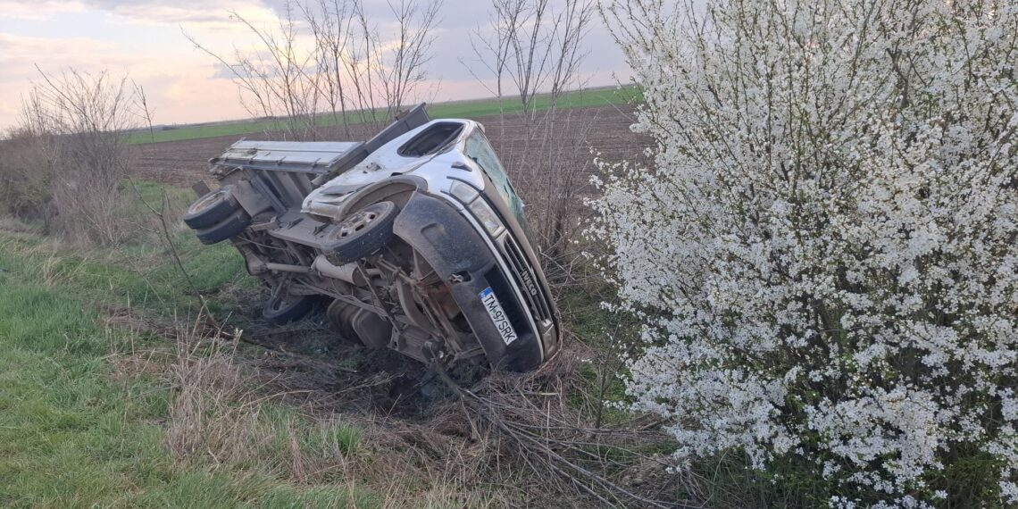 Accident pe DN 59B, la Cărpiniș: un bărbat rănit după impactul dintre o autoutilitară și o căruță/Video