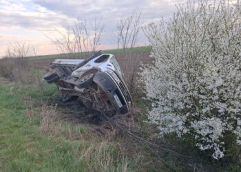 Accident pe DN 59B, la Cărpiniș: un bărbat rănit după impactul dintre o autoutilitară și o căruță/Video