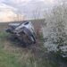 Accident pe DN 59B, la Cărpiniș: un bărbat rănit după impactul dintre o autoutilitară și o căruță/Video