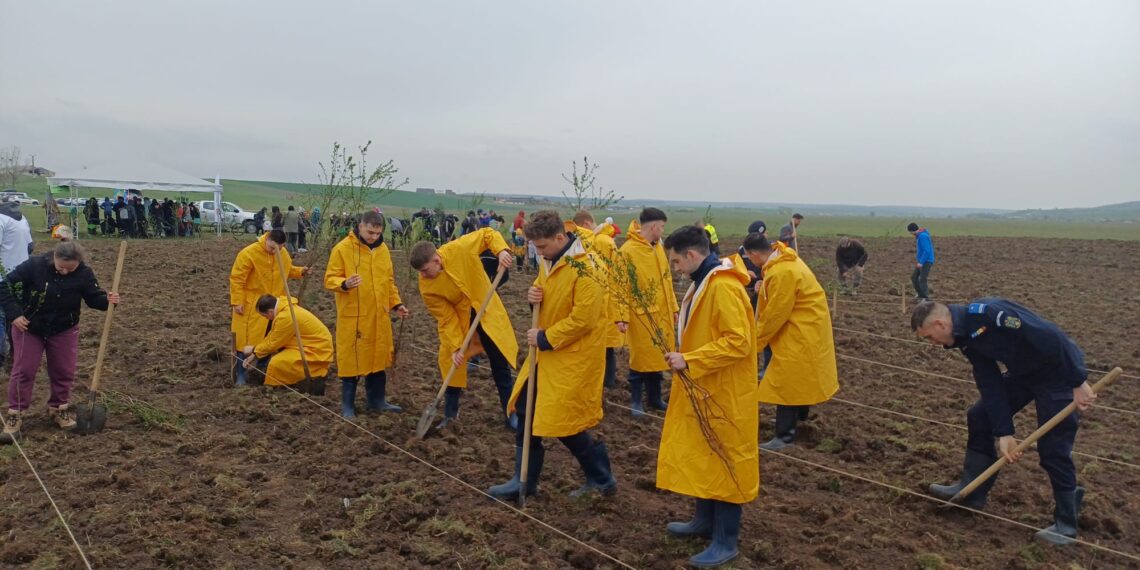 „176 de arbori pentru 176 de ani de Jandarmerie – investiție în viitorul verde al României”