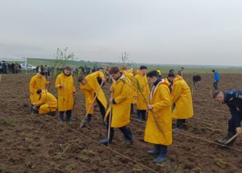 „176 de arbori pentru 176 de ani de Jandarmerie – investiție în viitorul verde al României”