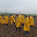 „176 de arbori pentru 176 de ani de Jandarmerie – investiție în viitorul verde al României”