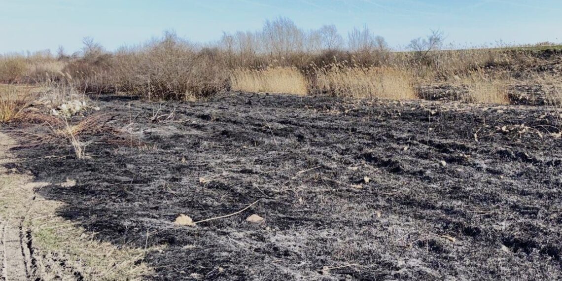 Peste 130 de situații de urgență înregistrate în weekend în Timiș