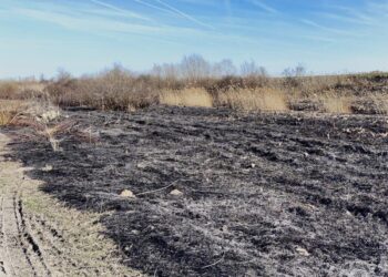 Peste 130 de situații de urgență înregistrate în weekend în Timiș