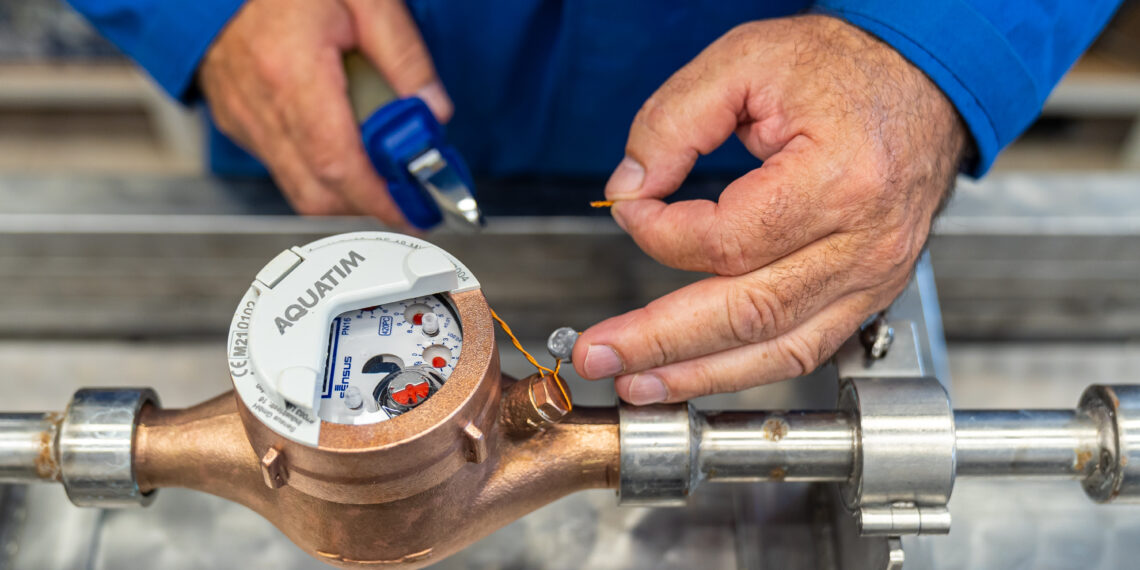 Primăria Municipiului Timișoara începe programul de cosire și întreținere a spațiilor verzi