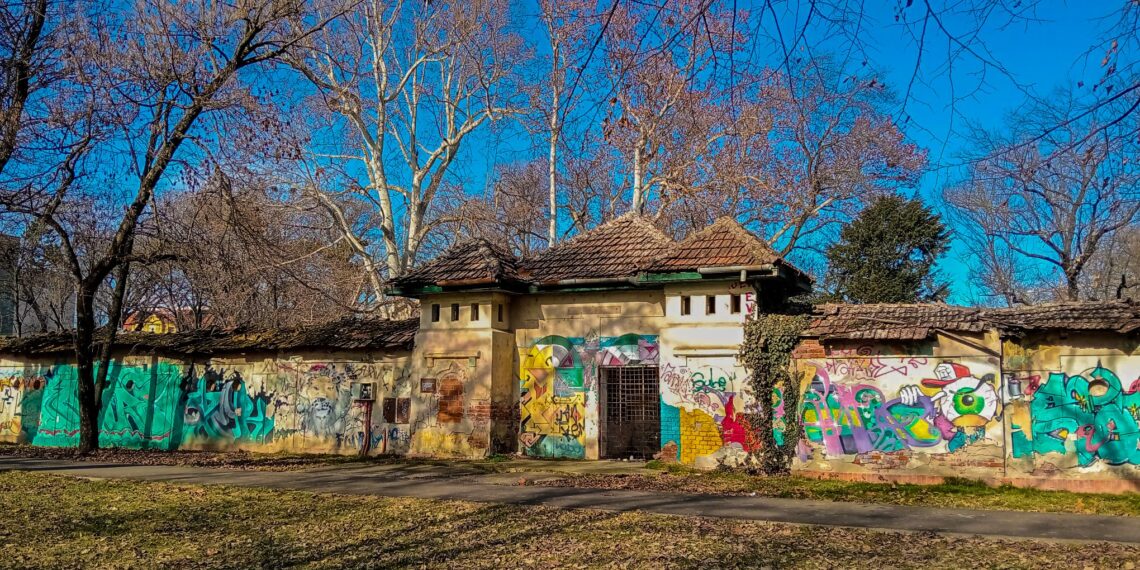 „Uszoda”, simbolul unei epoci, la 100 de ani: voluntarii încearcă să readucă la viață vechile Băi Populare din Timișoara