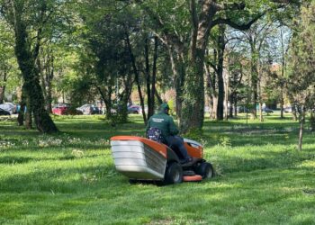 Primăria Municipiului Timișoara începe programul de cosire și întreținere a spațiilor verzi